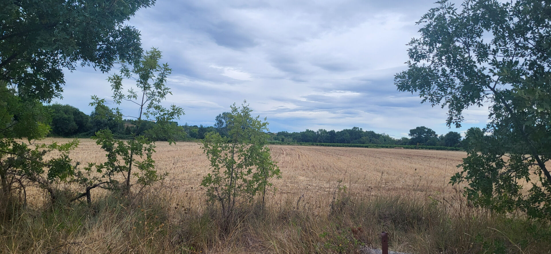 Terrain + permis de construire validé, arboré de 2000m²