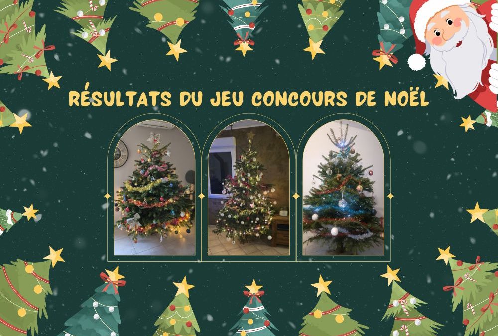 Résultats du Jeu concours de Noël