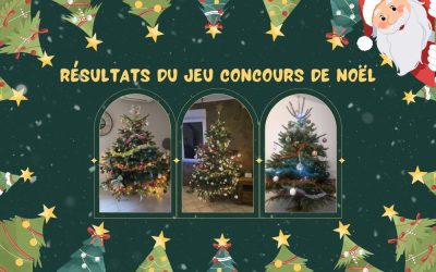 Résultats du Jeu concours de Noël